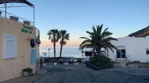 a street with palm trees and a building and the ocean at Casa Sofia in Vulcano