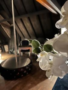 Fotografie z fotogalerie ubytování Domaine 10 v destinaci Schore