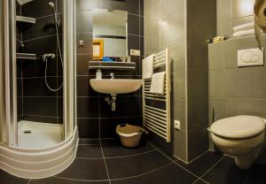 a bathroom with a toilet and a sink and a shower at Vila Borievka in Tatranská Lomnica