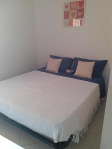 キアーヴァリにあるAppartamento Lunaのピンクとブルーの枕が付いたベッド