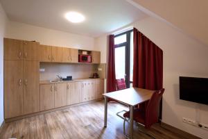 A kitchen or kitchenette at Vila DEDO