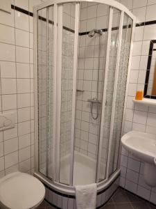 a shower in a bathroom with a toilet and a sink at Landpension Gschwantner in Lengenfeld