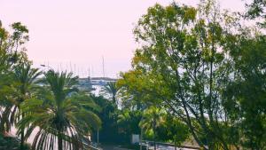 Blick auf eine Stadt mit Palmen und das Meer in der Unterkunft MálagadeVacaciones - Thiele in Málaga