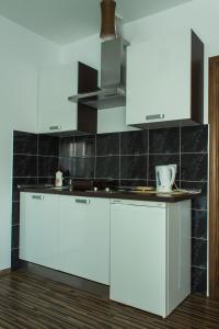 Kuchyňa alebo kuchynka v ubytovaní Guest House Buk Rastoke