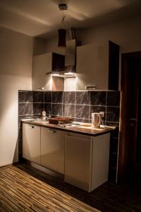 Kuchyňa alebo kuchynka v ubytovaní Guest House Buk Rastoke