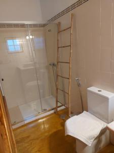 a bathroom with a shower stall and a toilet at Casa do Páteo in Vila Nova da Baronia