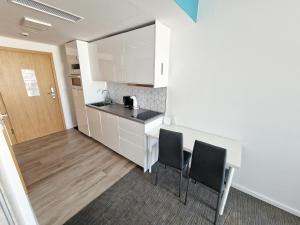 Kuchnia lub aneks kuchenny w obiekcie Seaside Park Private Apartment by Villmaris