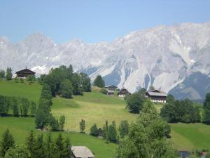 Příroda nedaleko apartmánu