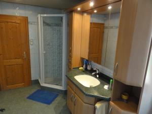 uma casa de banho com um lavatório, um espelho e um chuveiro em Apartment Elena em Gedersdorf