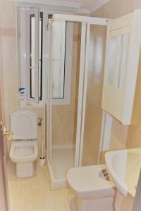 een badkamer met een toilet, een douche en een wastafel bij Vive Vitoria en la Almendra Medieval 15 in Vitoria-Gasteiz