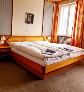 Gallery image of Hirsch Hotel & Restaurant in Hypolz