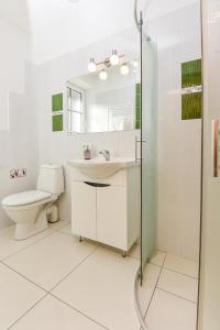 a bathroom with a toilet and a sink and a shower at Stay Lagom in Plateliai