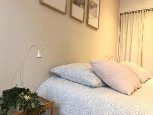 een slaapkamer met een bed met 2 kussens erop bij Studio Brest centre ville, 3ème étage sans ascenseur in Brest