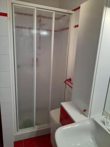 ein Bad mit einer Dusche, einem WC und einem Waschbecken in der Unterkunft Le Marmotte del Brenta in Carisolo
