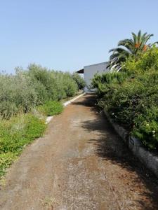 un chemin de terre avec des buissons et un bâtiment dans l'établissement Casa Mariva, à Lipari
