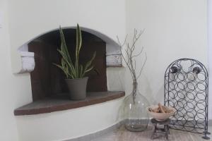 una pianta in un vaso su uno scaffale in una stanza di La Maison Du Village a Lárdos