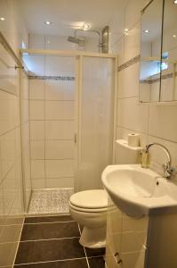 a bathroom with a shower and a toilet and a sink at Boerenslag 10 in Sint Maartensvlotbrug