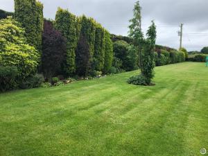 a large lawn with a tree in the middle at Seacrest in Galway