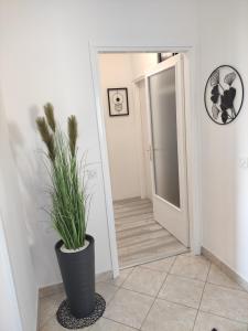 Fotografia z galérie ubytovania Apartman Iris s terasom v destinácii Rijeka