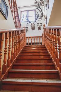 Colatransport في برنو: مجموعة من السلالم في منزل مع ثريا