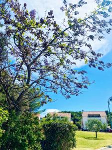 Un árbol con flores en un parque en Pervanovo Apartments with Free Parking, en Dubrovnik