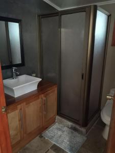 a bathroom with a sink and a shower and a toilet at Lodge Rio Encantado, Pucon in Pucón