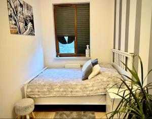 1 dormitorio con 1 cama con ventana y planta en Apartment Jazz, en Konstancin-Jeziorna