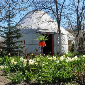 Tienda blanca con cúpula y flores en un jardín en Karakol Yurts Camp, en Karakol