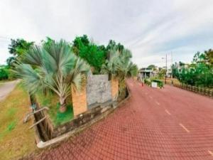 a street with palm trees on the side of a road at 7eVenKitchen Hmestay in Jitra