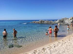 Táj Show holiday homes közelében