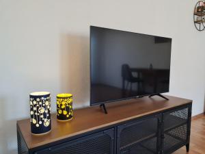 TV a/nebo společenská místnost v ubytování Haus Bergler