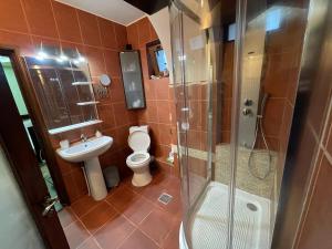 uma casa de banho com um WC, um chuveiro e um lavatório. em Ultracentral Lozonschi 2 rooms apartment em Iaşi