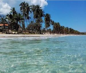 a beach with a group of palm trees and the ocean at PENTHOUSE EN PLAYA EL AGUA in Los Cerritos +6 photos