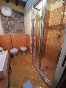 een badkamer met een douche, een toilet en een wastafel bij Guelfi6 Poppi in Poppi