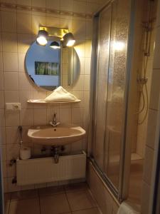 a bathroom with a sink and a shower and a mirror at Gasthof Zum Löwen in Mespelbrunn