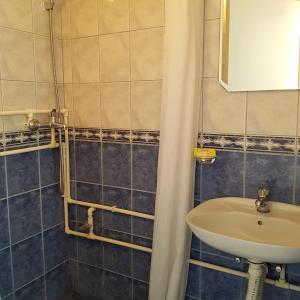 Koupelna v ubytování Apartmani Vidakovic
