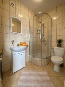 een badkamer met een douche, een wastafel en een toilet bij Pokoje Pod Kasztanami Jantar in Jantar