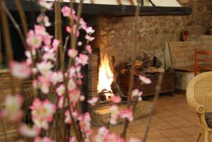 a fireplace in a living room with pink flowers at Complejo Rural Turimaestrat in Sant Mateu