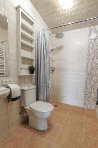 a bathroom with a toilet and a sink and a shower at Sila terases in Madona