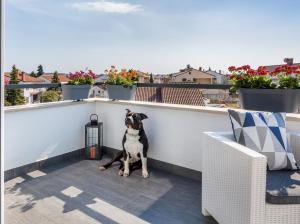 Gallery image of Apartman Nina in Fažana