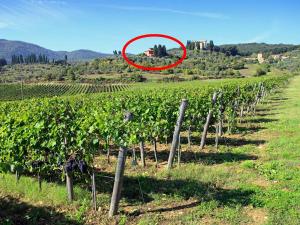 un círculo rojo en medio de un viñedo en Attractive cottage in S Donato in Collina with garden, en Rignano sullʼArno