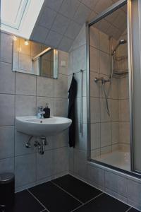 ein Bad mit einem Waschbecken und einer Dusche in der Unterkunft Gemütliche Apartments in der Heide in Soltau