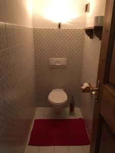 a small bathroom with a toilet and a red rug at Gundhabing flat in Kitzbühel