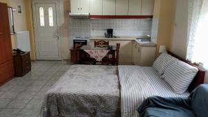 A kitchen or kitchenette at Alexandros Guesthouse