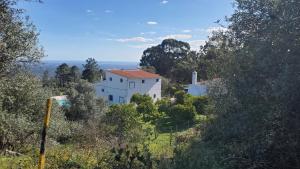 a house on the side of a hill with trees at Casa Baptista in Monchique