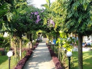 Travellers Jungle Camp-Sauraha外面的花园