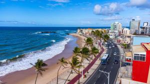- une vue sur la plage bordée de palmiers et l'océan dans l'établissement Hotel Dan Inn Express Salvador, à Salvador