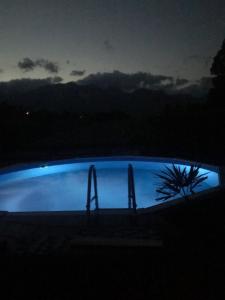 Bazén v ubytování Landhaus - Neubauer nebo v jeho okolí