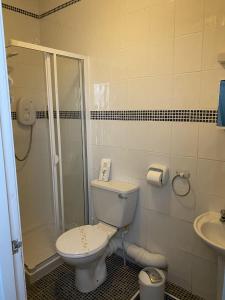 a bathroom with a toilet and a shower and a sink at Rossdene House in Blackpool