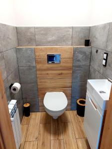 a bathroom with a white toilet in a room at Domek Wilcze Wzgórze in Istebna